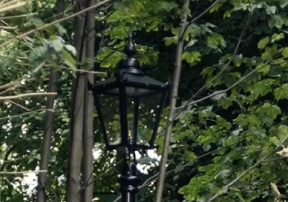 IMG_1525_68b29a4ca1a5a