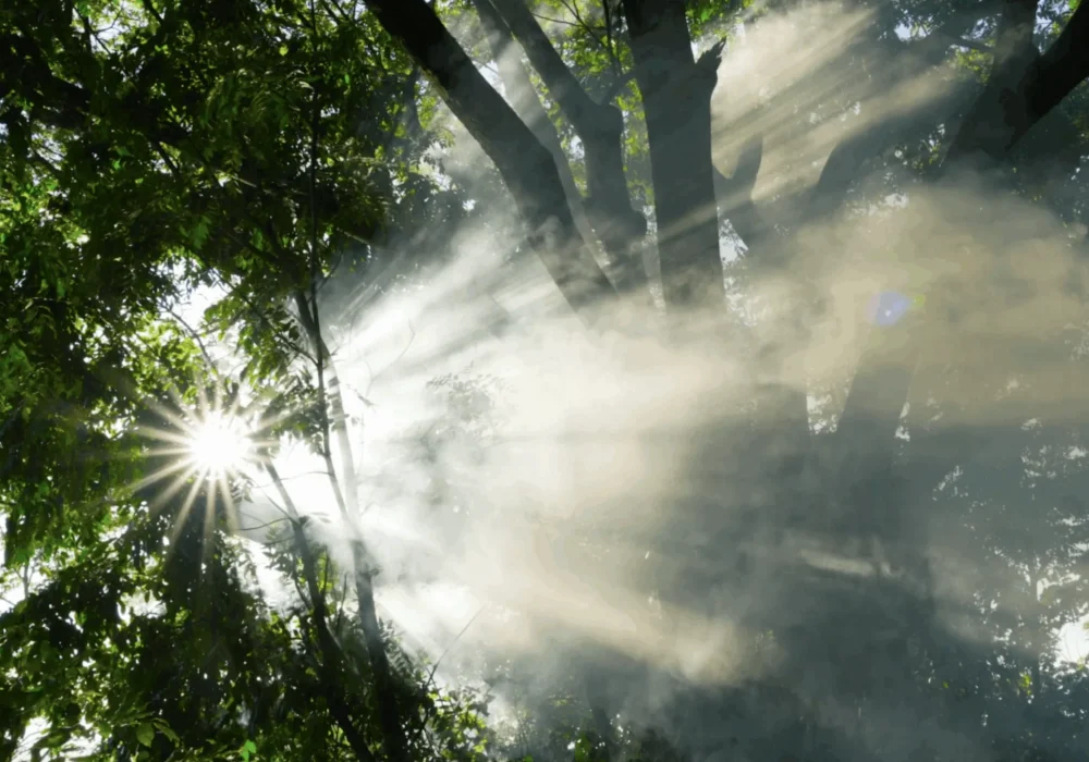 Screenshot-2025-08-05-at-07.31.50-scaled_68b29aac01ff2